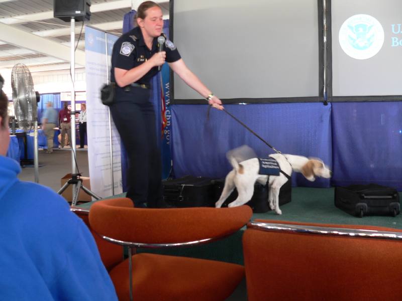 fruit/meat sniffing dog