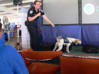 fruit/meat sniffing dog
