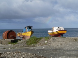 Chiloe island south of P. Montt