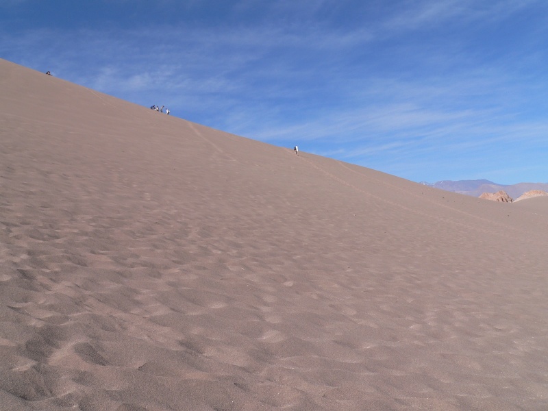 sand surfing