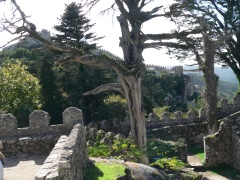 day trip to Moorish castle overlooking Sintra