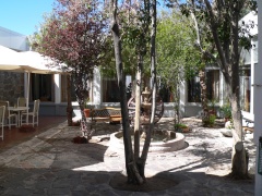 cafeteria courtyard