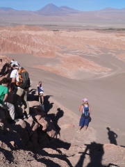 sliding down sand dunes