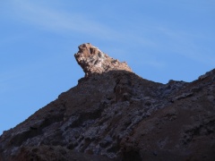like a lion?