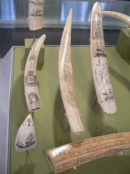 random scrimshaw exhibit at SFO