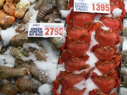 strange seafood for sale at Sydney fish market