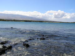 Hawaii photo number 28