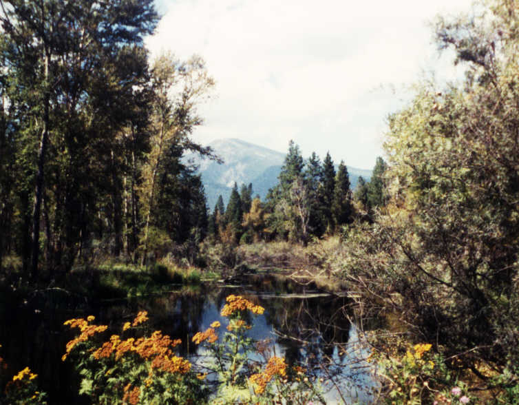 A few of my favorite pictures of beautiful places